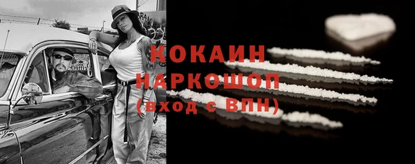 прущий лед Алзамай