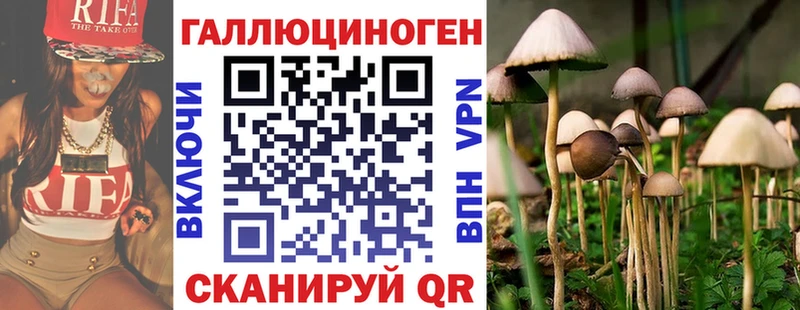 купить наркотики сайты  Алексеевка  MEGA ТОР  Галлюциногенные грибы мухоморы 